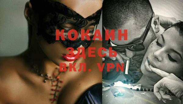 кокс Белокуриха