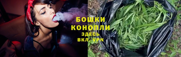 кокс Белокуриха