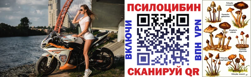 Галлюциногенные грибы Psilocybine cubensis  MEGA   площадка как зайти  Видное 