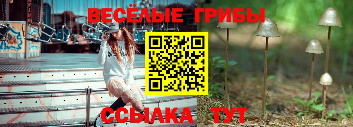 Псилоцибиновые грибы мицелий  Псилоцибиновые грибы ЛСД  Видное  Вход с VPN 