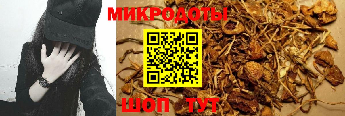 Галлюциногенные грибы GOLDEN TEACHER Видное
